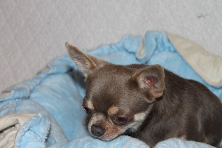 Valio Des Pattounes Douces