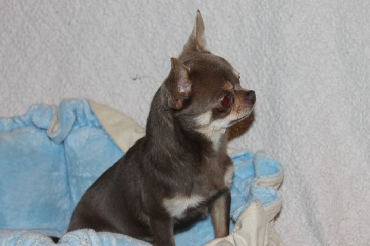 Valio Des Pattounes Douces