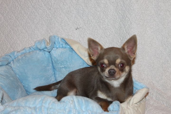 Valio Des Pattounes Douces