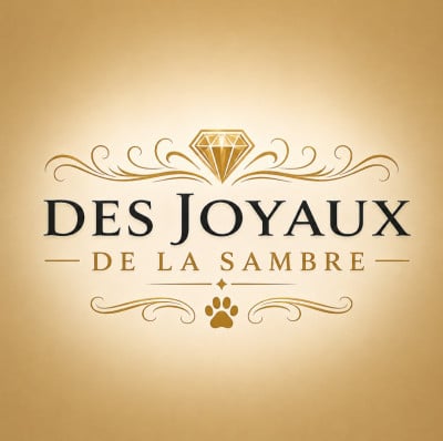 Des Joyaux De La Sambre