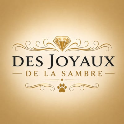 Des Joyaux De La Sambre