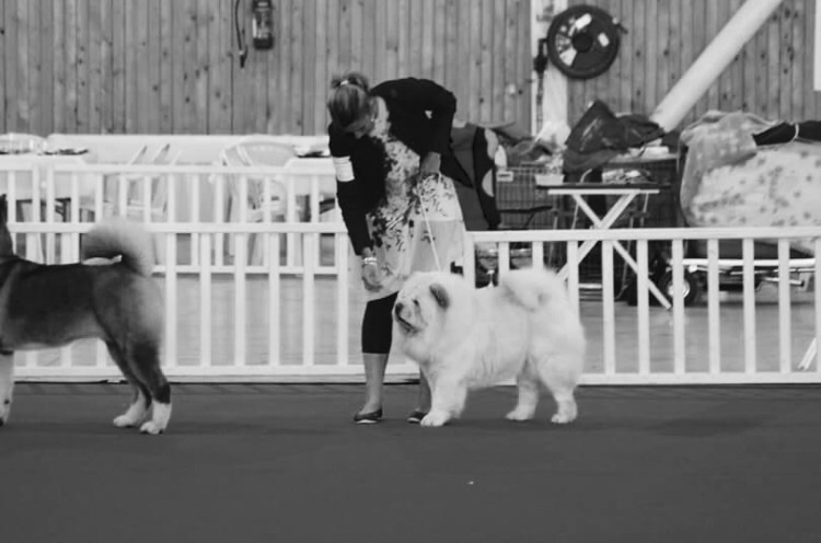 Publication : De La Ferme De Maizelan Auteur : Élevage de la Ferme de Maizelan