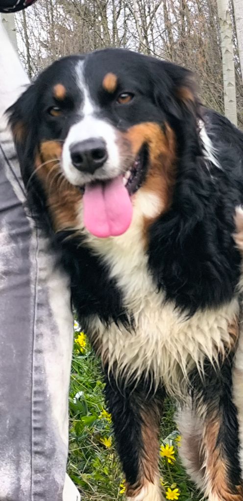 Ultym For The Memory Of Mandy