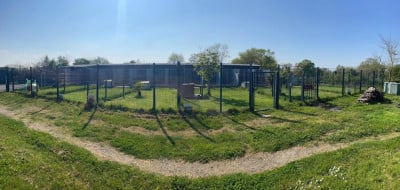 GOIBEAULT PHILIPPE | ELEVAGE DE LA BAIE DE LA MANCHA