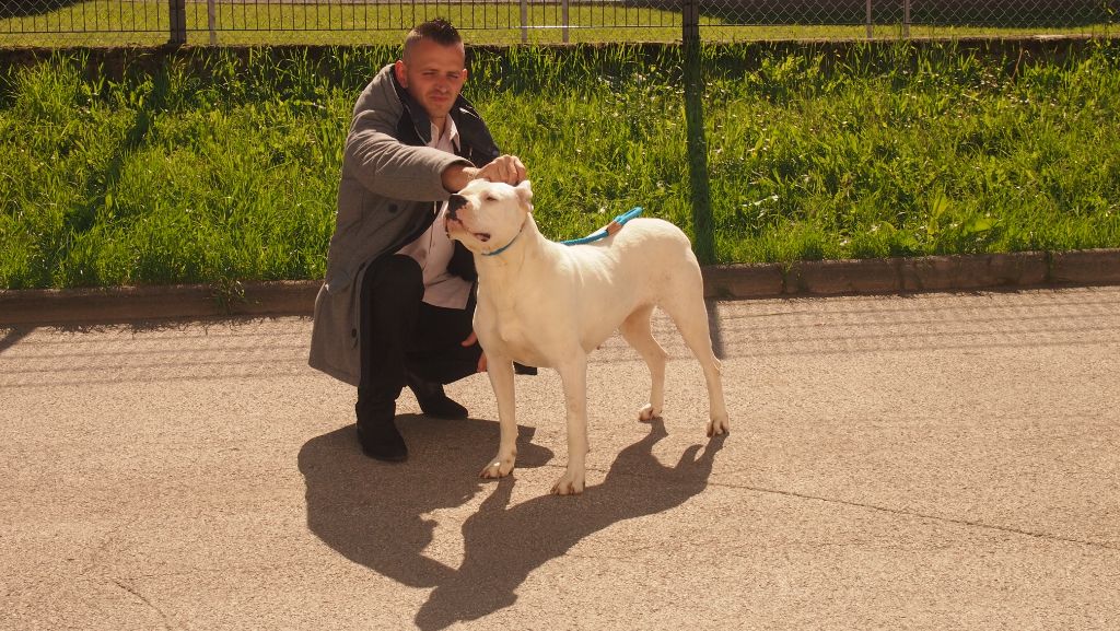 CH. Irina delta De la crique du Flojule - 1ère Excellent : Classe Champion