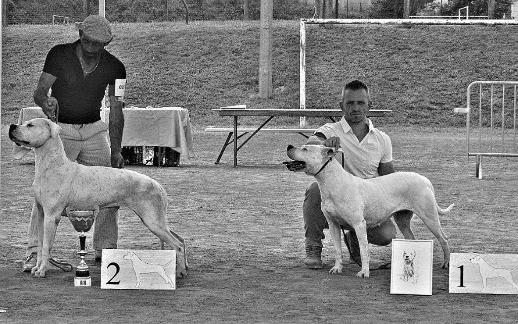 CH. Irina delta De la crique du Flojule - 1ère Excellent : Classe Champion