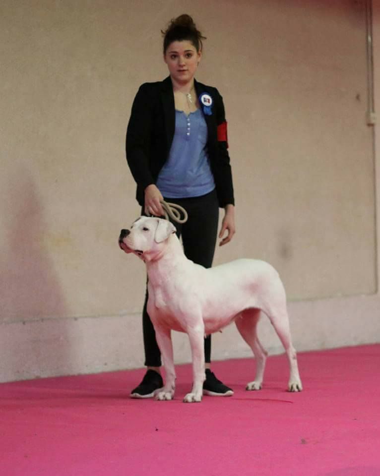 CH. Irina delta De la crique du Flojule - 2ème Excellent / RCACS : classe ouverte