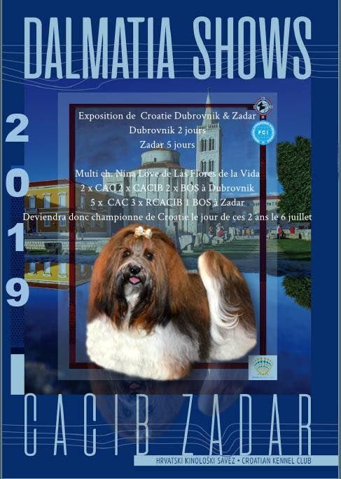 CH. Nina love de las flores de la vida - CAC-RCACIB & Championne de Croatie