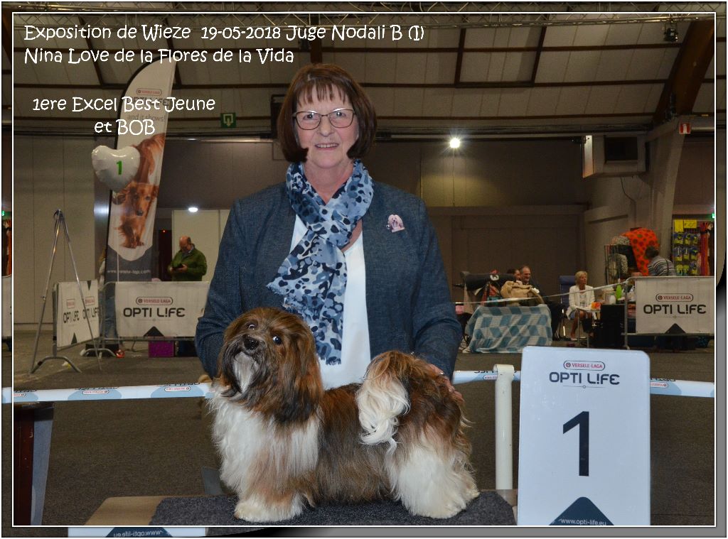 CH. Nina love de las flores de la vida - 1ère Excellent Best jeune et BOB à 10 mois