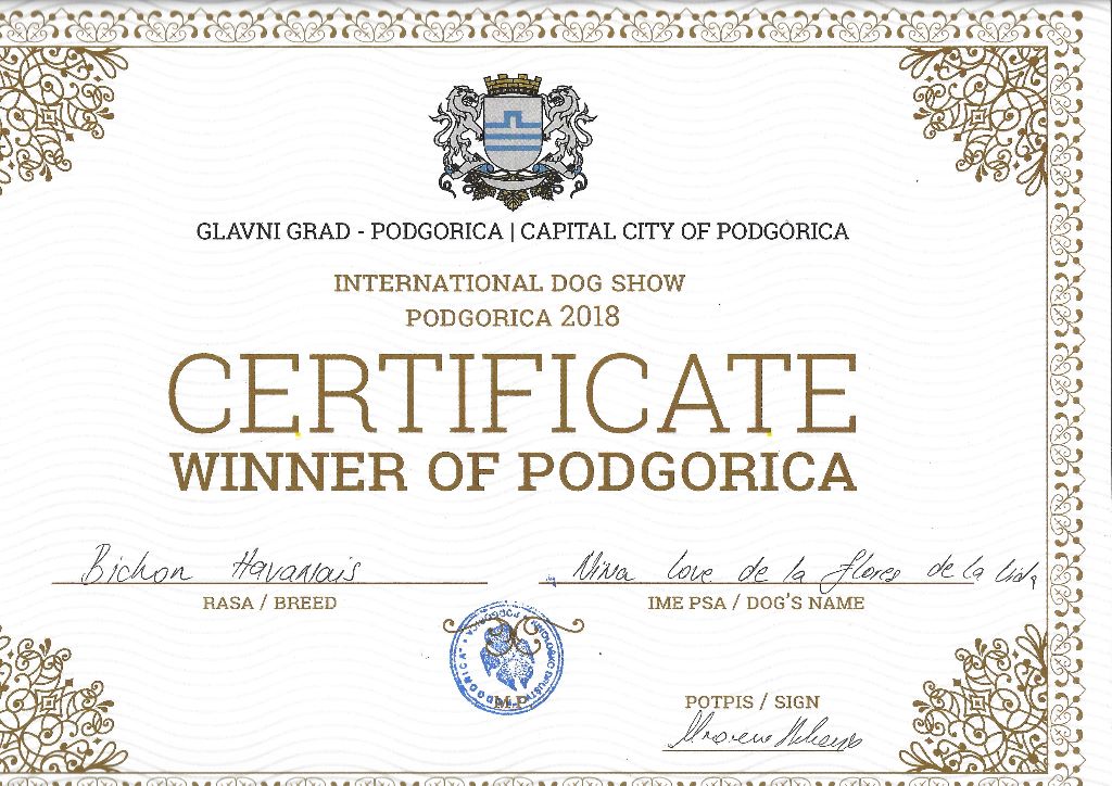 CH. Nina love de las flores de la vida - CAC-CACIB-BOB