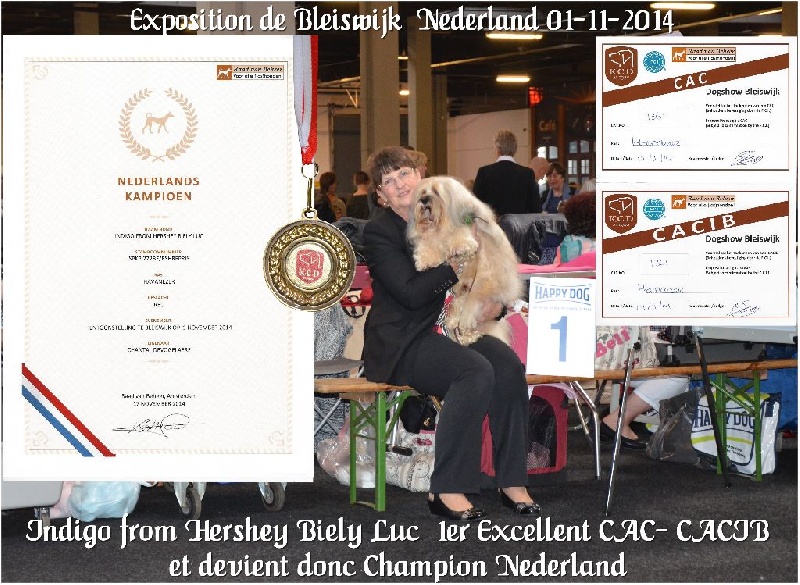CH. . indigo from hersey biely luc - cac-cacib Champion Nederland
