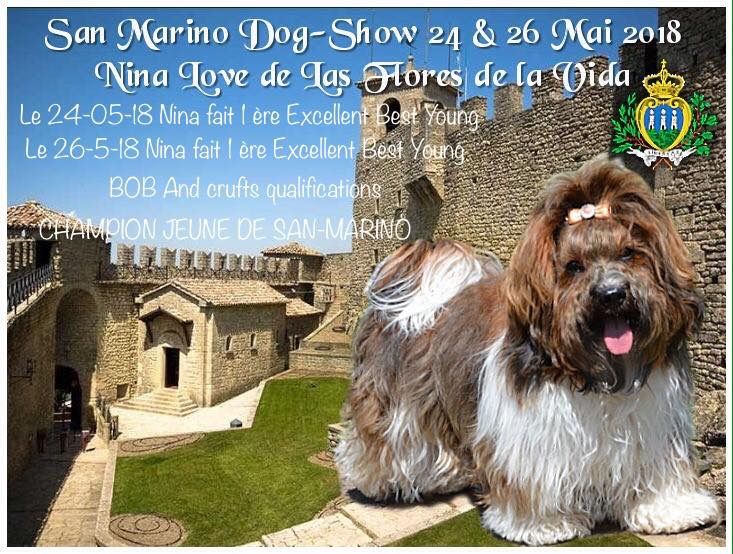 CH. Nina love de las flores de la vida - 1ère Excellent Best Jeune, Best femelle, et BOB et CH JEUNE de San-Marino à 10 m