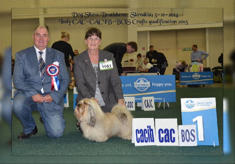 CH. . indigo from hersey biely luc - Champion International