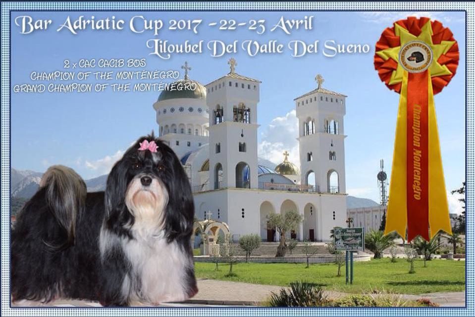 Liloubel del valle del sueño - CAC-CACIB-BOB & Championne et grande Championne du Montenegro