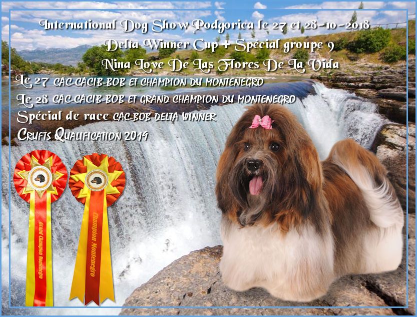 CH. Nina love de las flores de la vida - CAC-BOB & Championne du Montenegro