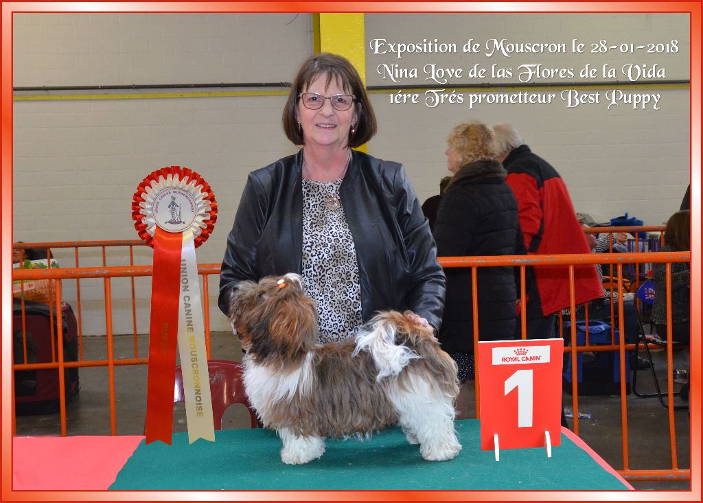 CH. Nina love de las flores de la vida - 1ère Trés Prometteur Best Puppy