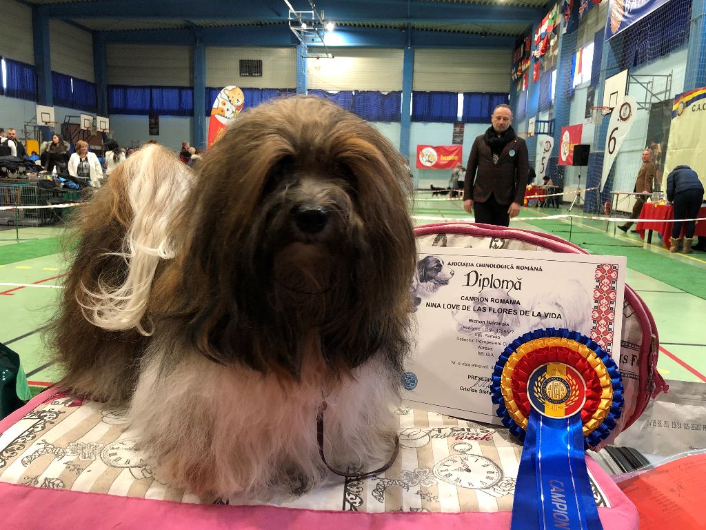 CH. Nina love de las flores de la vida - CAC-BOB