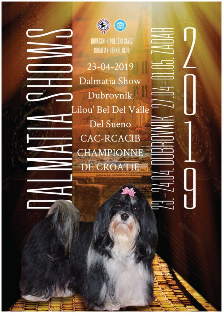 Liloubel del valle del sueño - CAC-RCACIB & Championne de Croatie