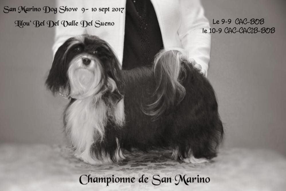 Liloubel del valle del sueño - CAC-CACIB-BOB