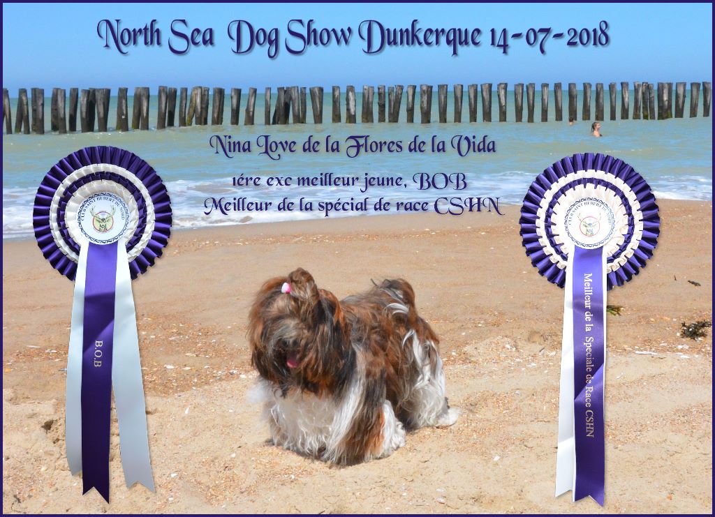 CH. Nina love de las flores de la vida - 1 Exc Best jeune, Best Femelle BOB Meilleur de la spécial de race