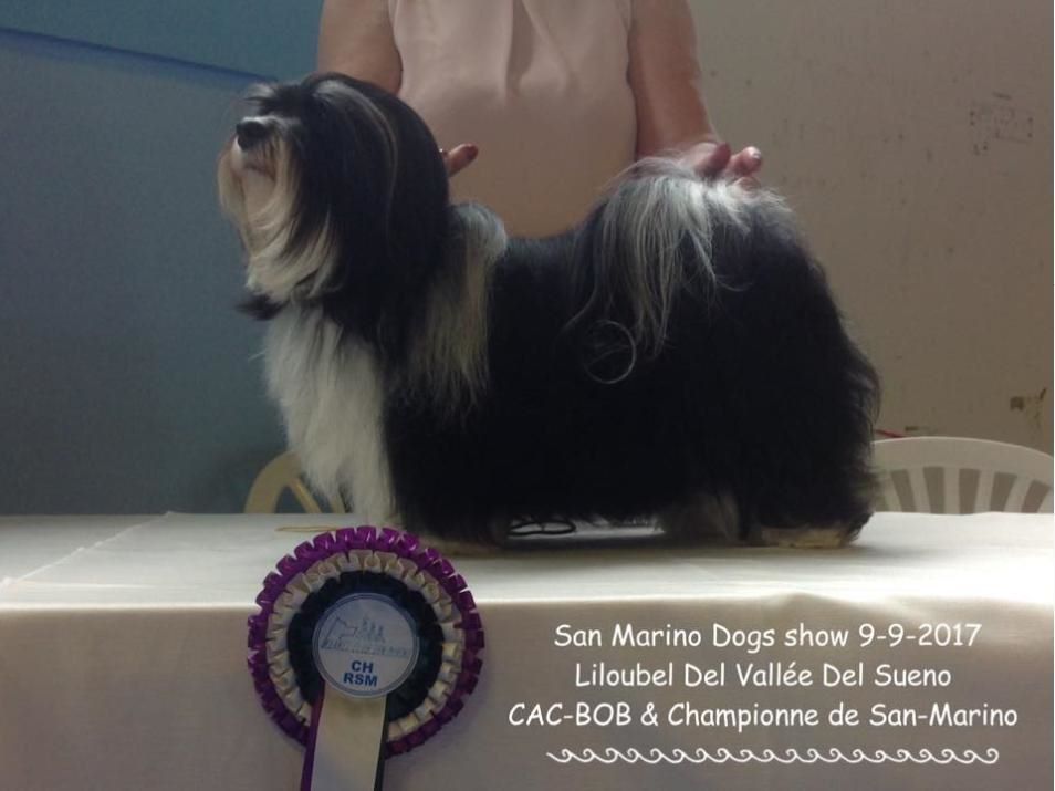 Liloubel del valle del sueño - CAC-BOB