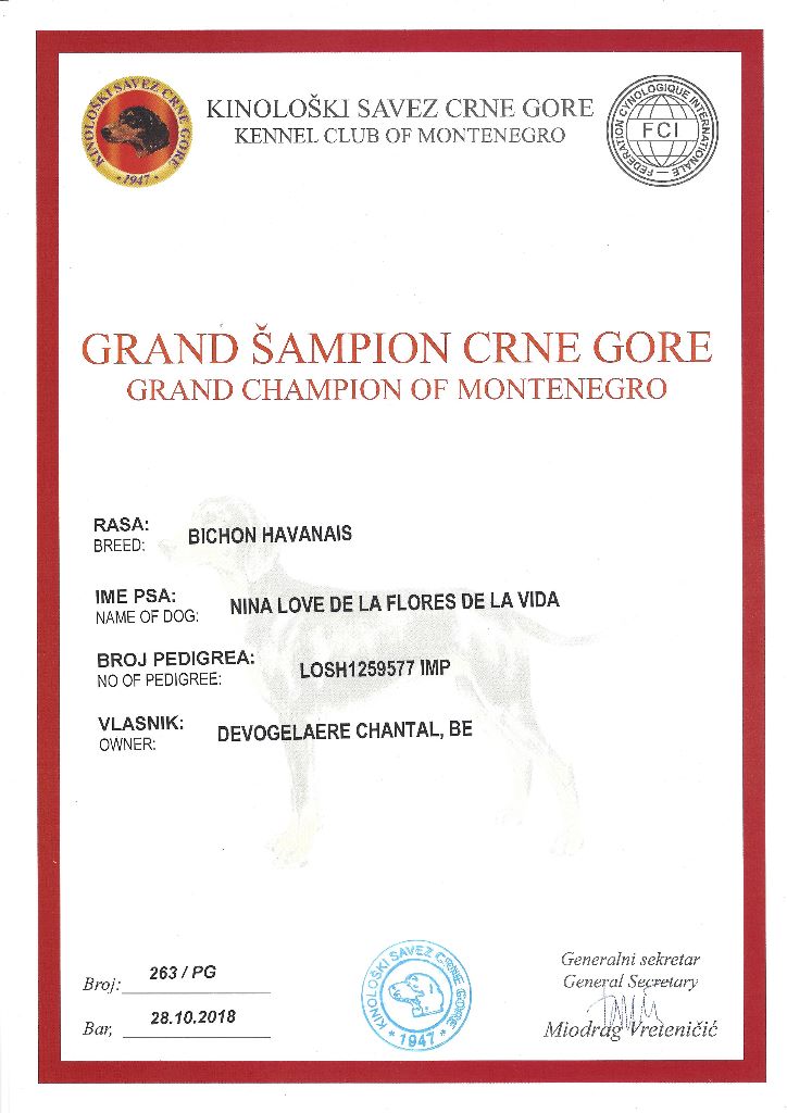 CH. Nina love de las flores de la vida - CAC-CACIB-BOB & Grand Champion du Montenegro + Delta Winner Podgorica