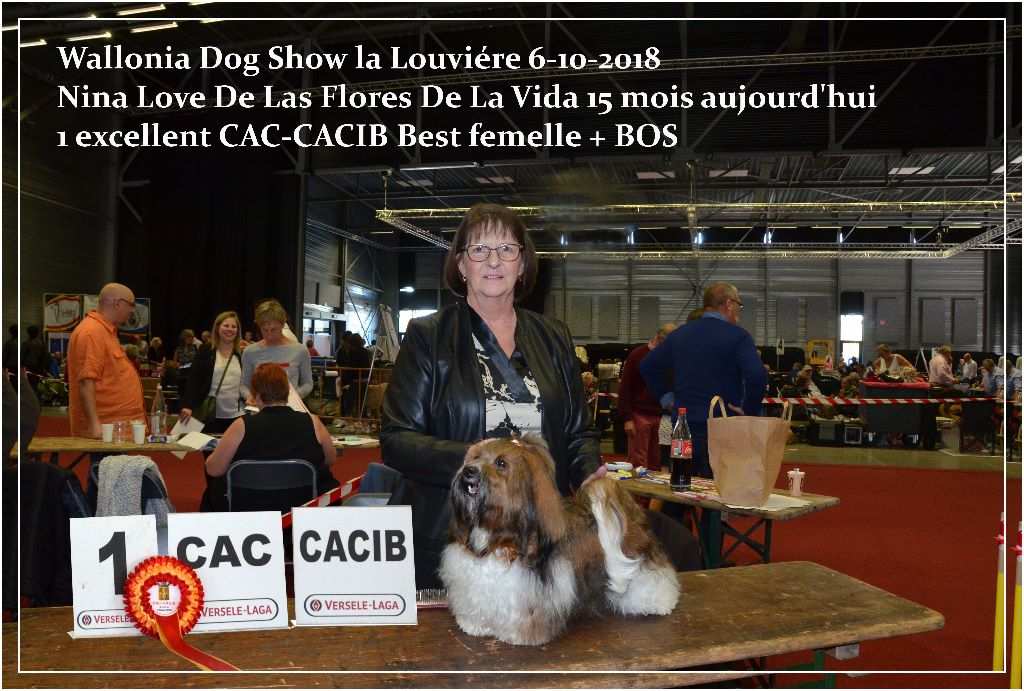 CH. Nina love de las flores de la vida - CAC-CACIB-BOS