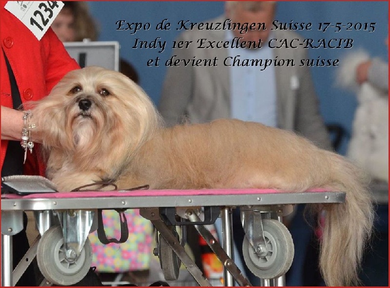CH. . indigo from hersey biely luc - cac-rcacib Champion de Suisse