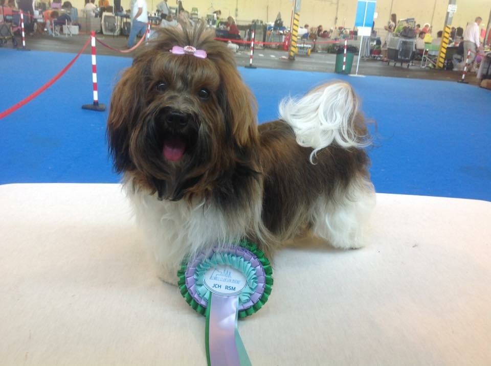 CH. Nina love de las flores de la vida - 1ère Excellent Best jeune