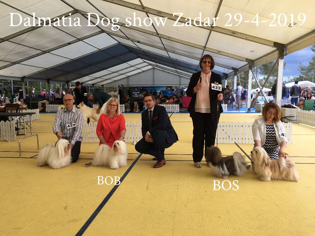 CH. Nina love de las flores de la vida - CAC-BOS