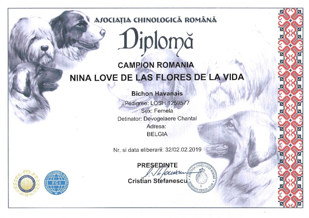 CH. Nina love de las flores de la vida - CAC-CACIB-BOB & Championne de Roumanie