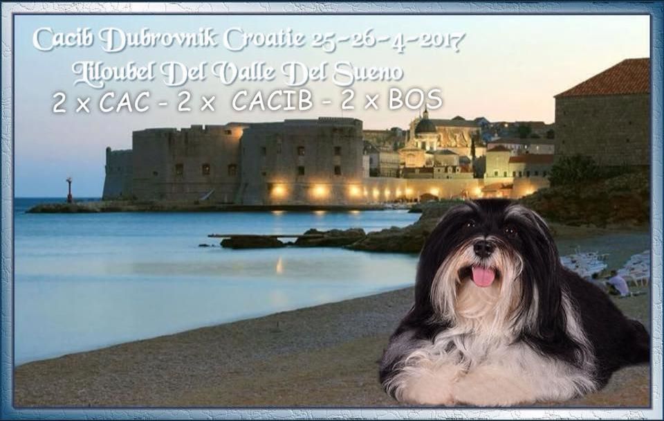 Liloubel del valle del sueño - CAC-CACIB-BOS