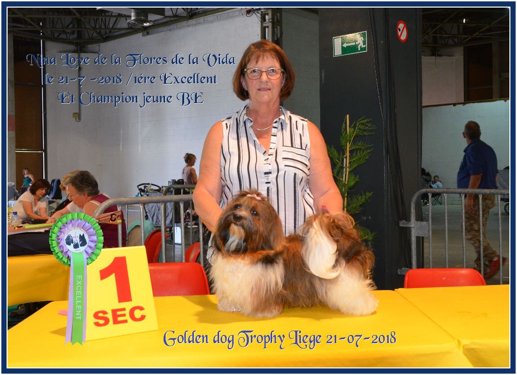 CH. Nina love de las flores de la vida - 1ère Excellent et CHAMPIONNE JEUNE de Belgique