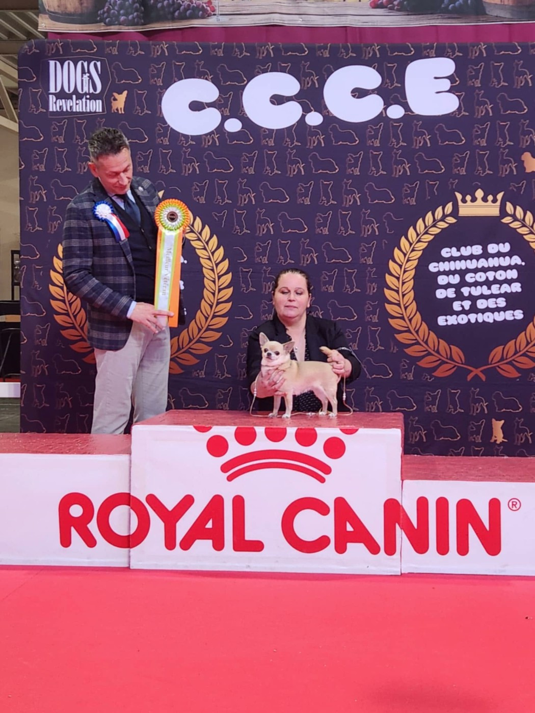 CH. Miss malha De la catllannaise