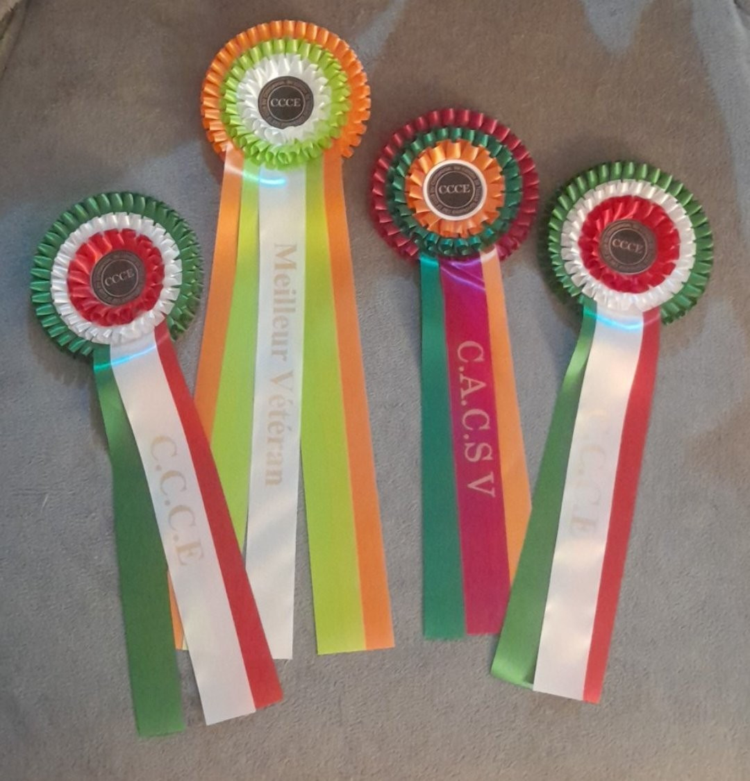 Athéna de la Vallée des Aymaras - 2ème excellent