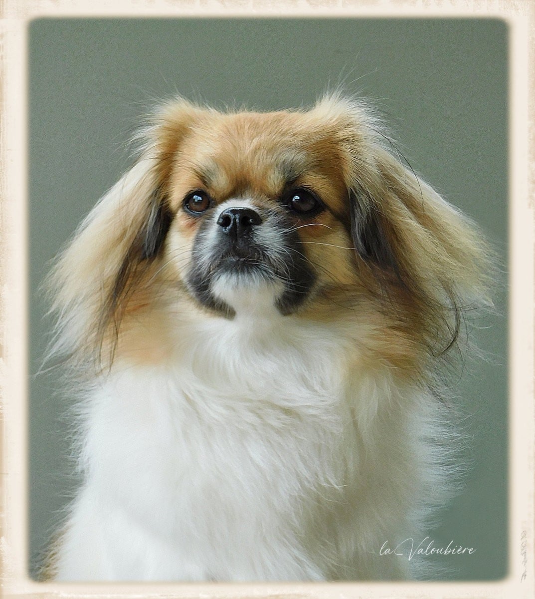 sommerlyst's Q-kha-ba-ri  na-di