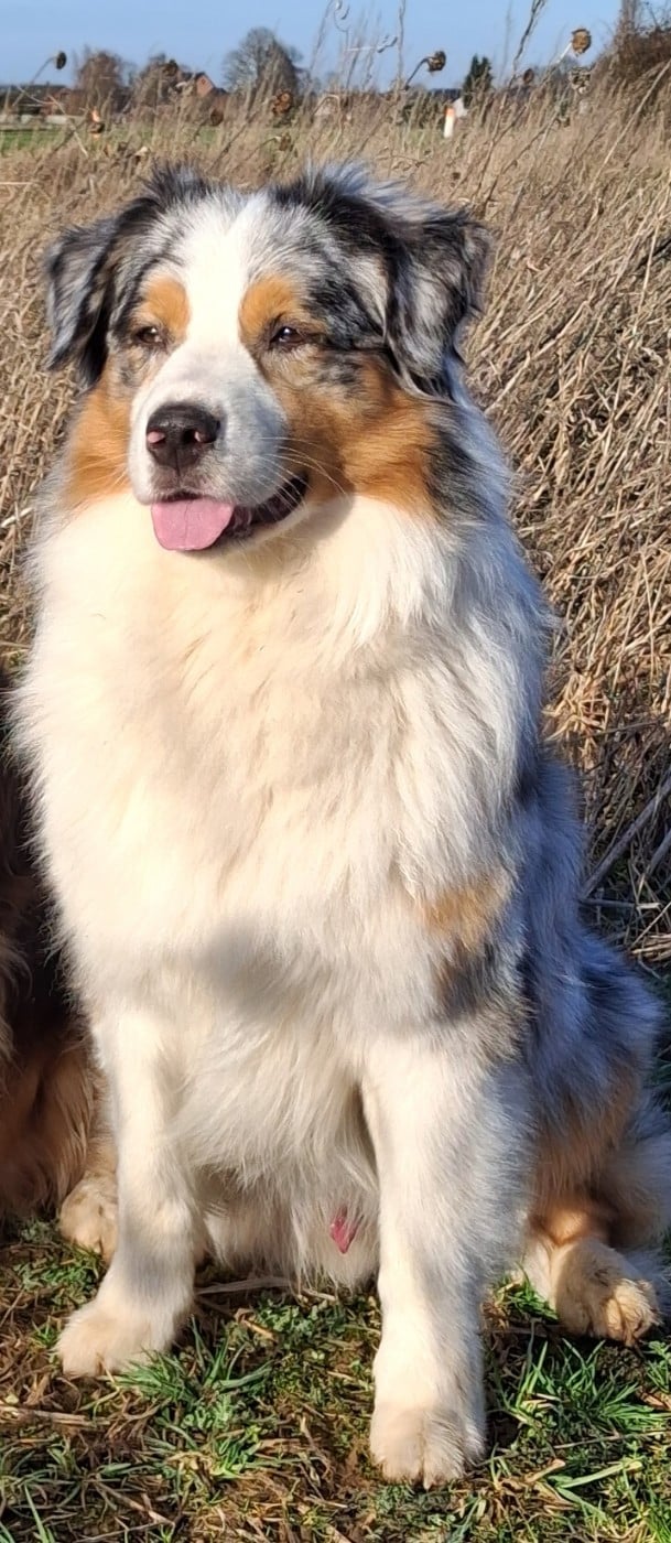 Secret Valley (w) aïko