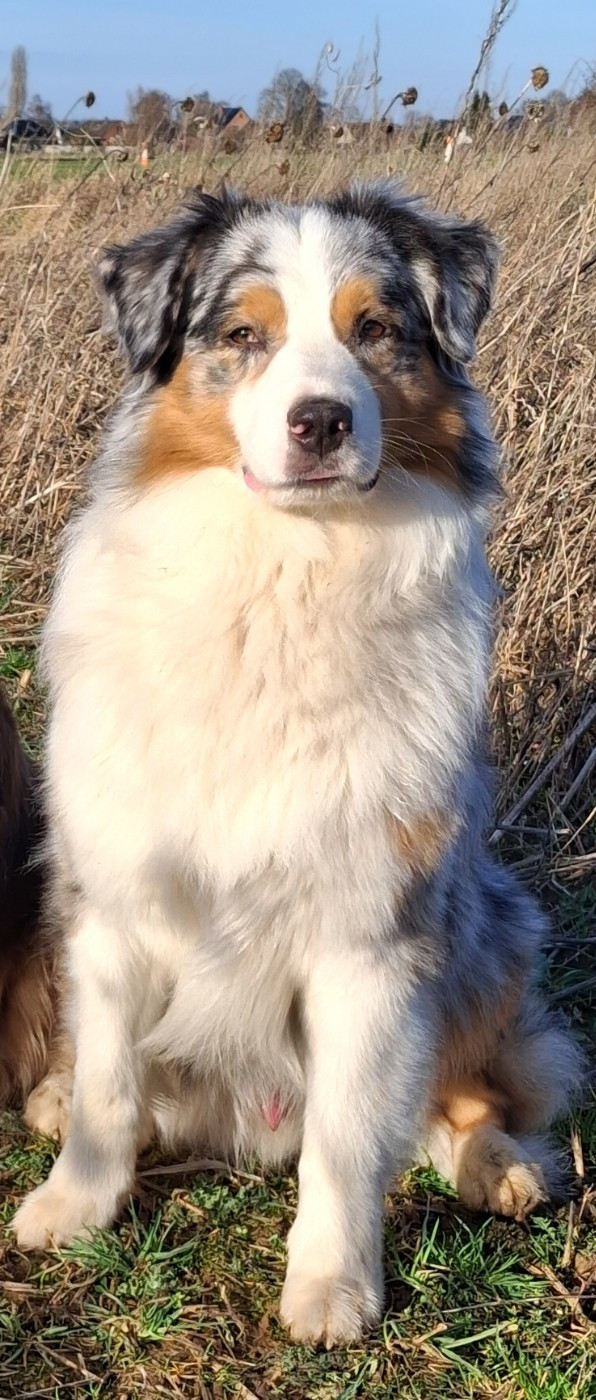 Secret Valley (w) aïko