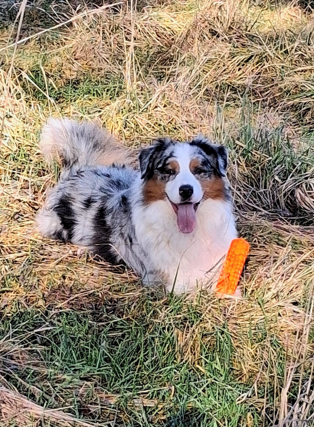 Secret Valley (w) aïko