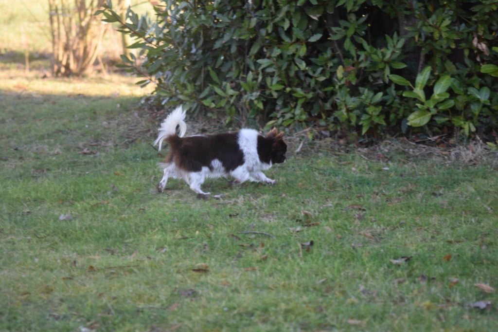 Publication : Des Minis Bombes Auteur : Laurence