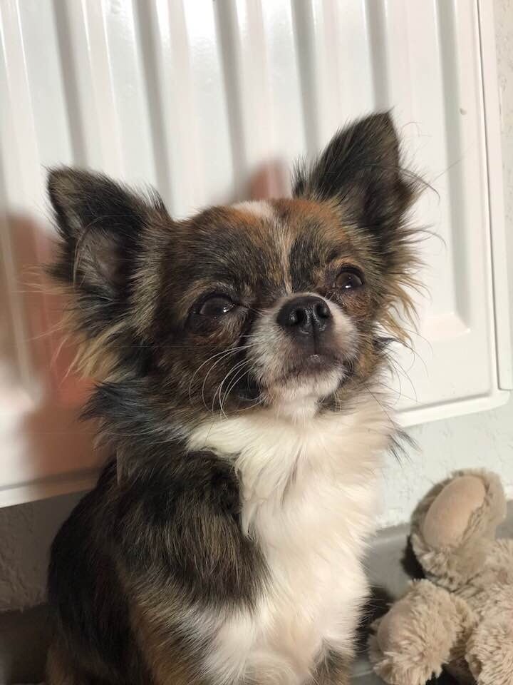 Ouni winnie Des Minis Bombes - Très prometteur