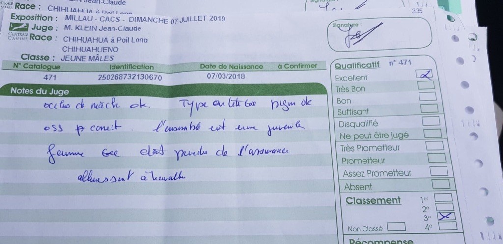 Ouni winnie Des Minis Bombes - 3ème excellent