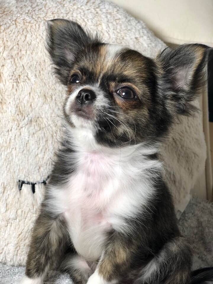 Ouni winnie Des Minis Bombes - Très prometteur