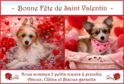 De La Maison Henriette