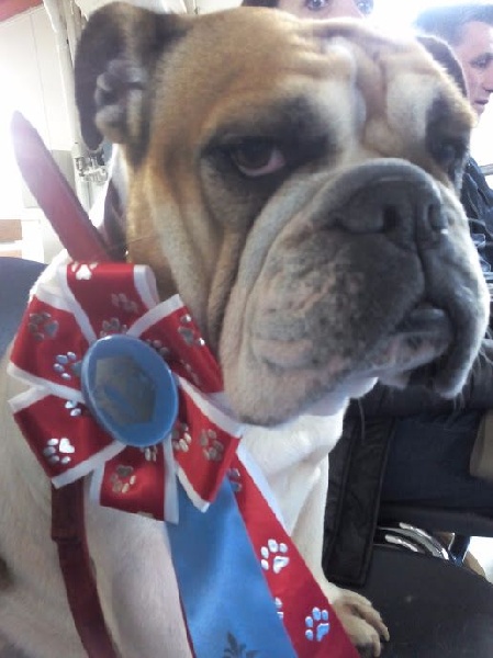 smoothie's Henriette - excellent