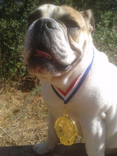 smoothie's Henriette - très prometteur