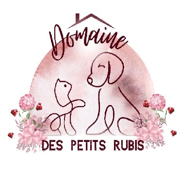 Domaine des Petits Rubis