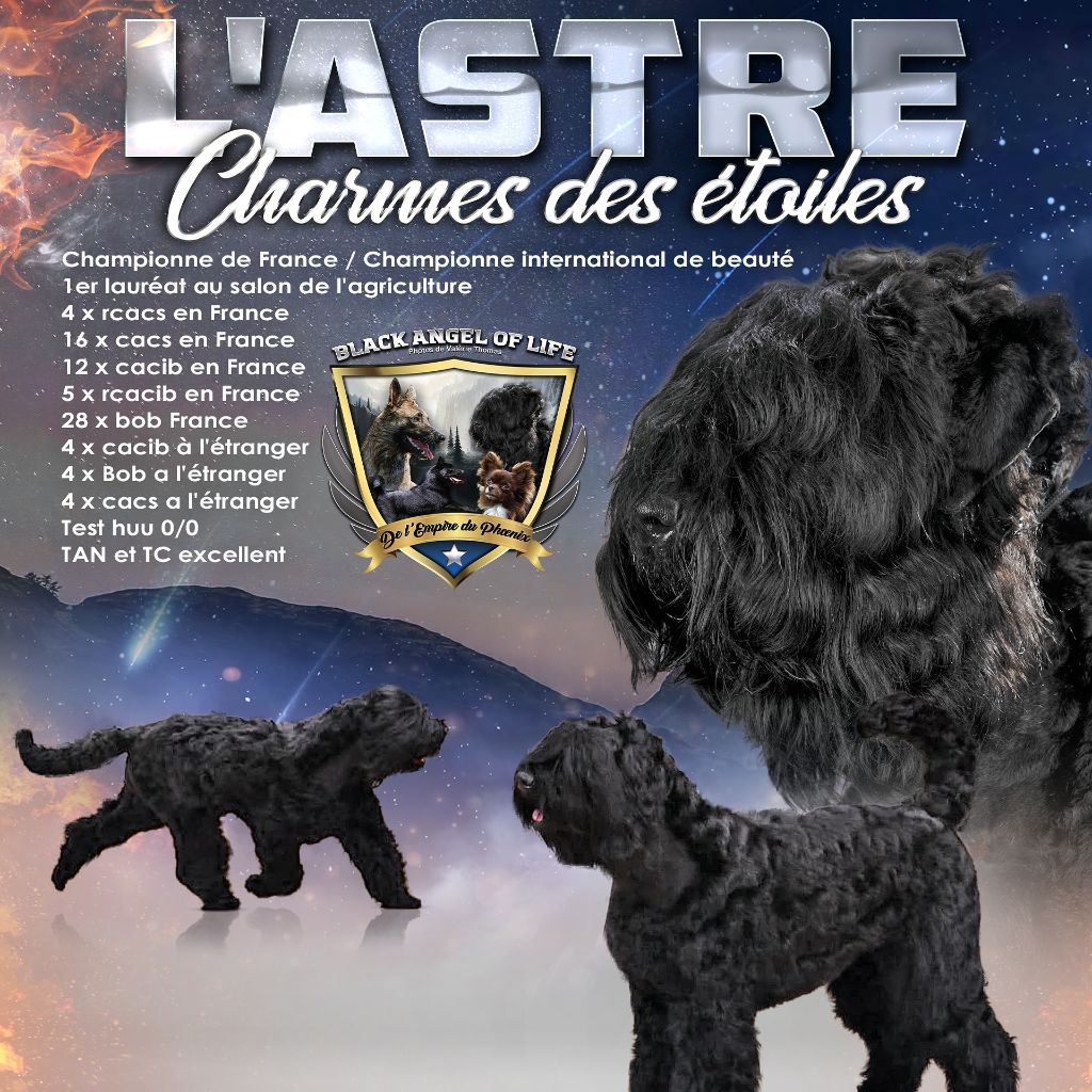 CH. L'astre Charme Des Etoiles - 1 er excellent rcacib