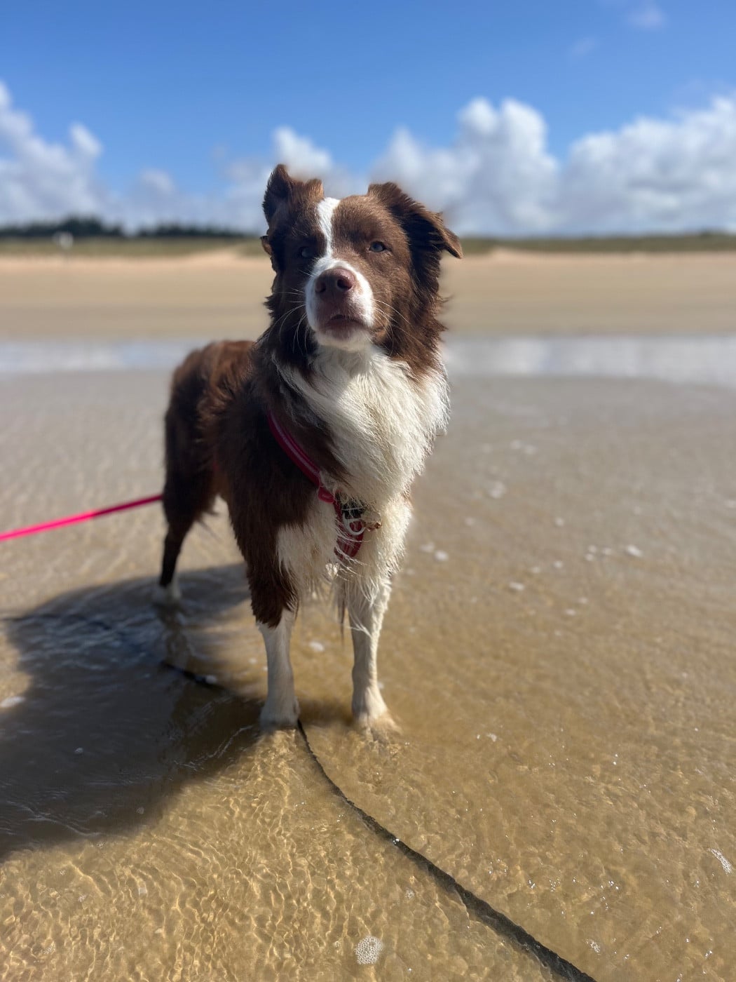 Publication : Des Perles Du Lac