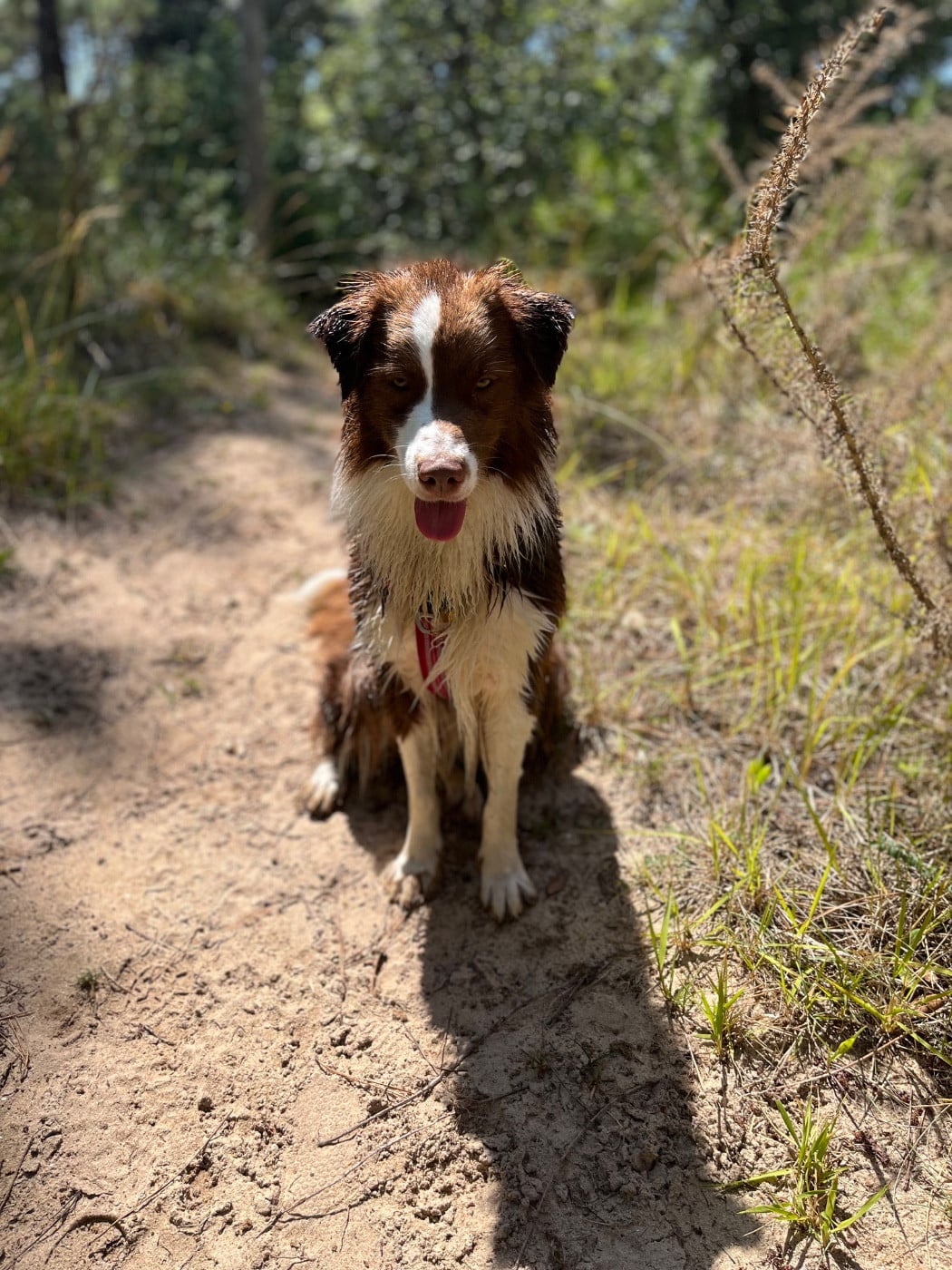 Publication : Des Perles Du Lac